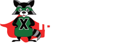 X Team Services small