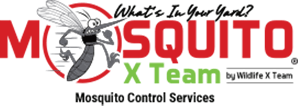 mosquito-x-team Mosquito X Team