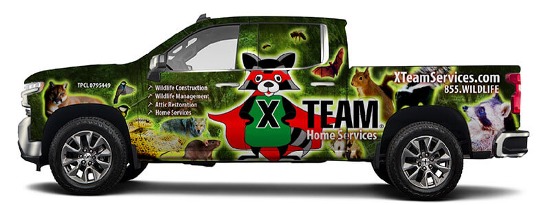xteamservices-02 xteamservices 02