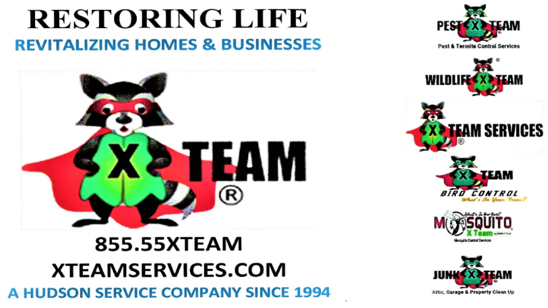 X Team Services Team