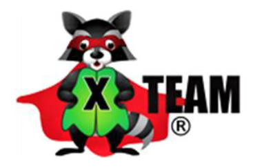 X Team Services